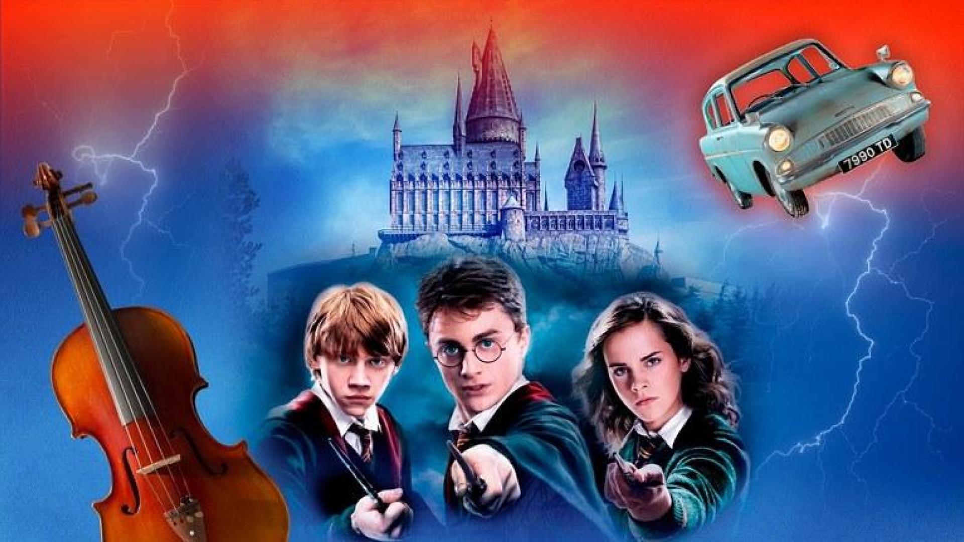 La música de Harry Potter, este sábado en el Teatro Gayarre.