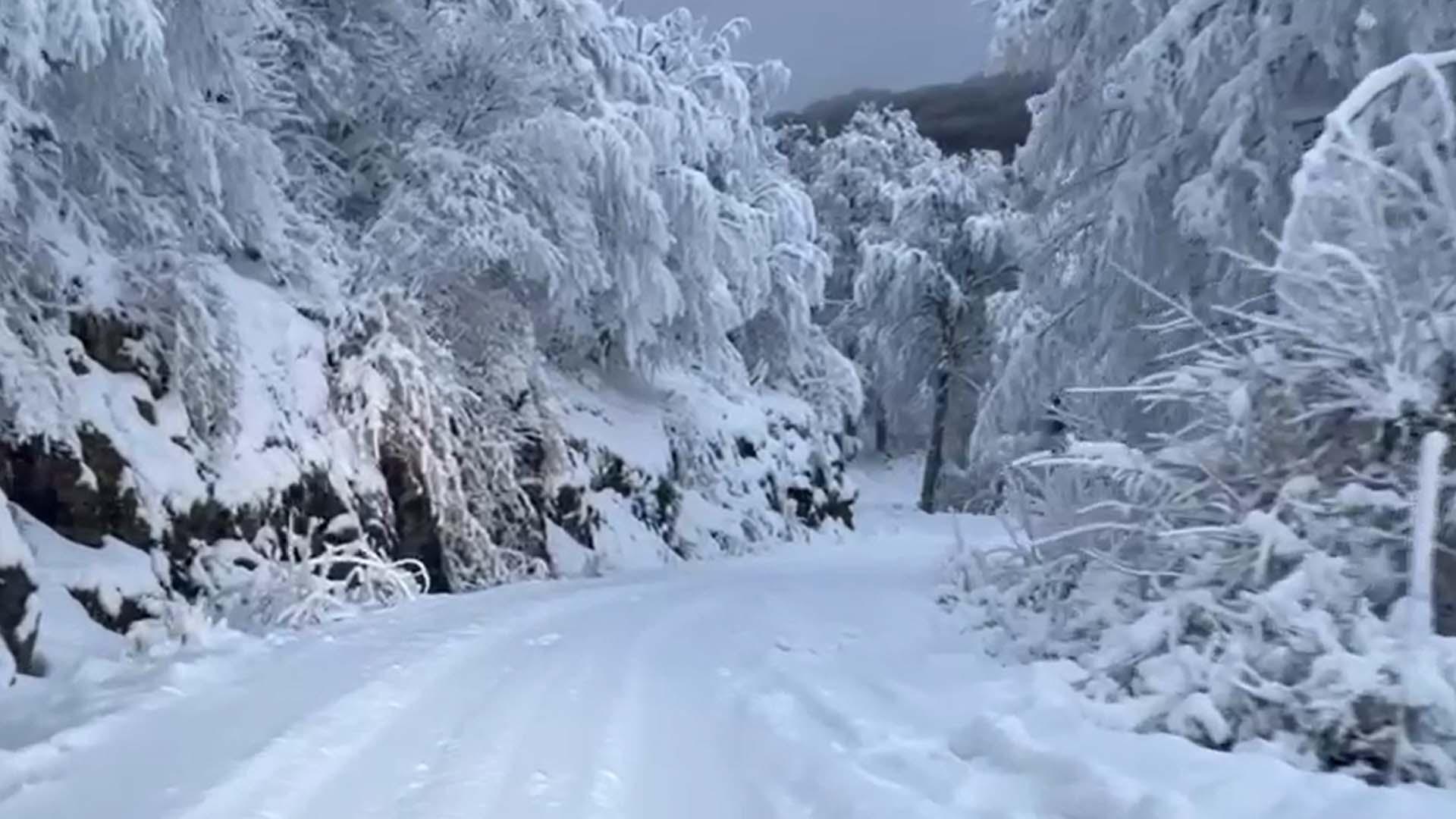 Nieve en la subida a San Miguel de Aralar