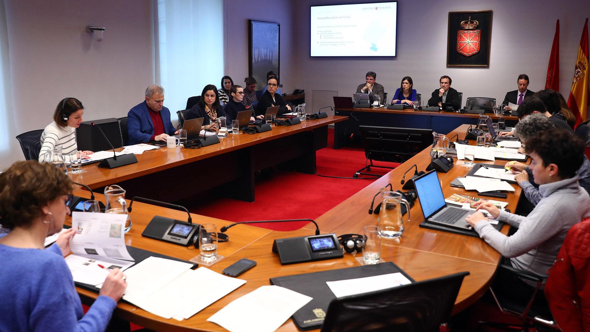 Ana Campillo, al fondo de la imagen -2ª por la izda.- en su comparecencia en la comisión de Salud