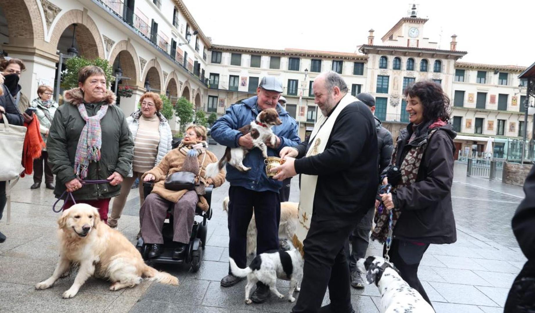 Vídeo de las tradicionales tres vueltas a la Cruz por San Antón con los animales en la plaza de los Fueros de Tudela