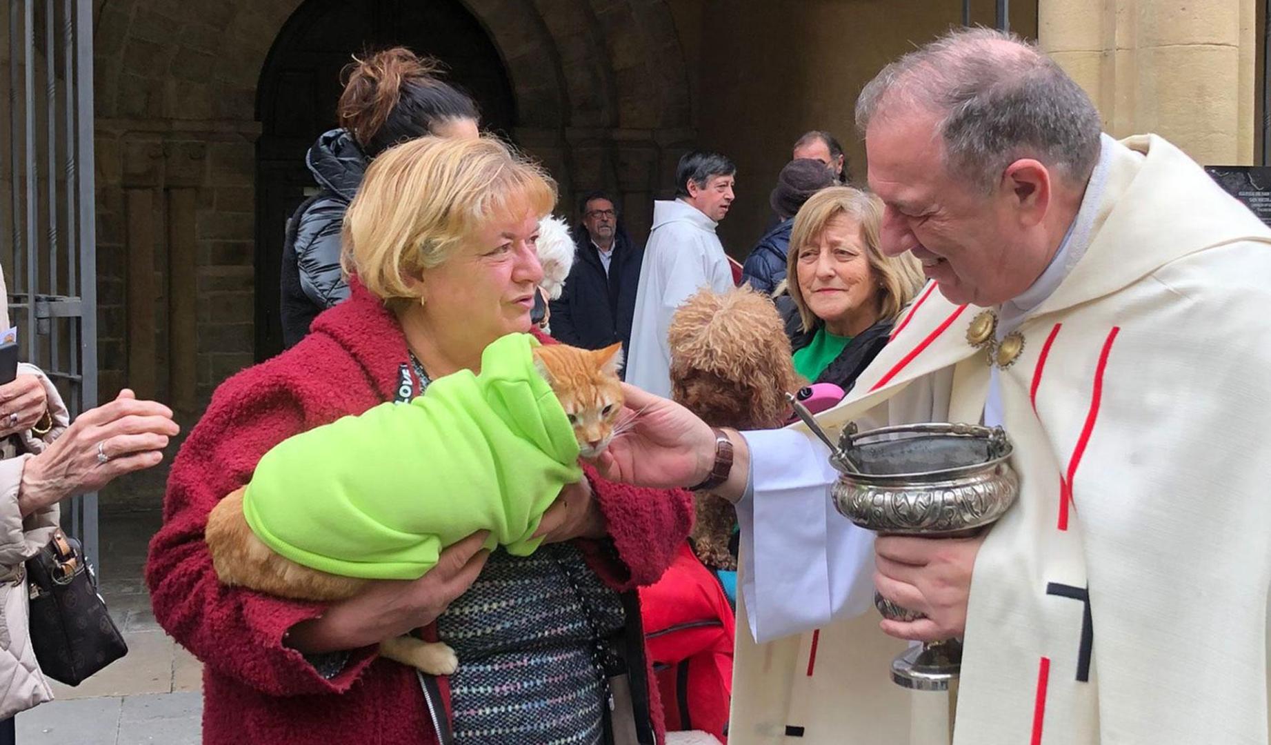 Numerosas personas con sus mascotas han participado este miércoles en la tradicional bendición de animales por la festividad de San Antón en la plaza de San Nicolás de Pamplona