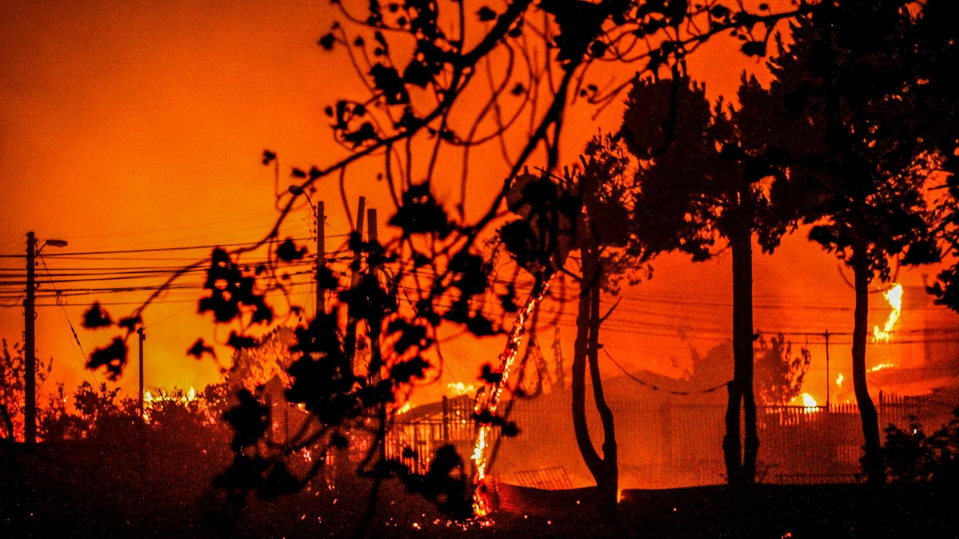 Ascienden a 51 los muertos por los incendios en Chile