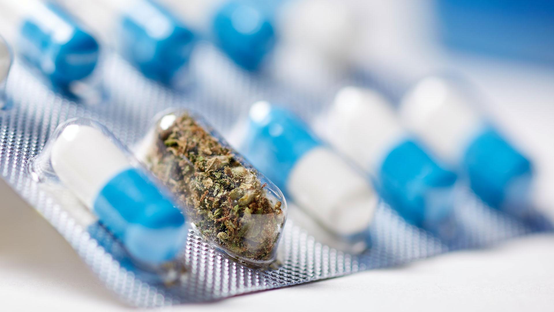 Los médicos alemanes pueden prescribir tratamientos a base de cannabis desde 2017, en presentaciones como flores o medicamentos formulados con esta sustancia