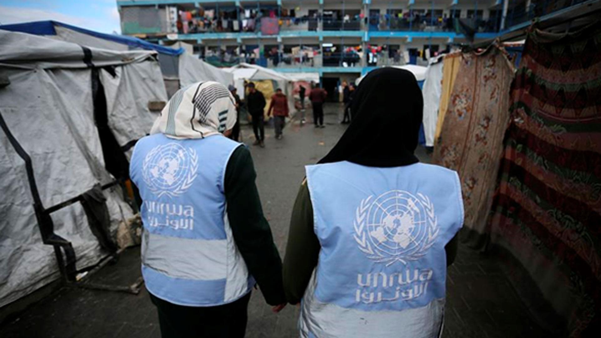Voluntarias de UNRWA en Gaza, una de las zonas a las que aporta ayudas de emergencia el Gobierno de Navarra