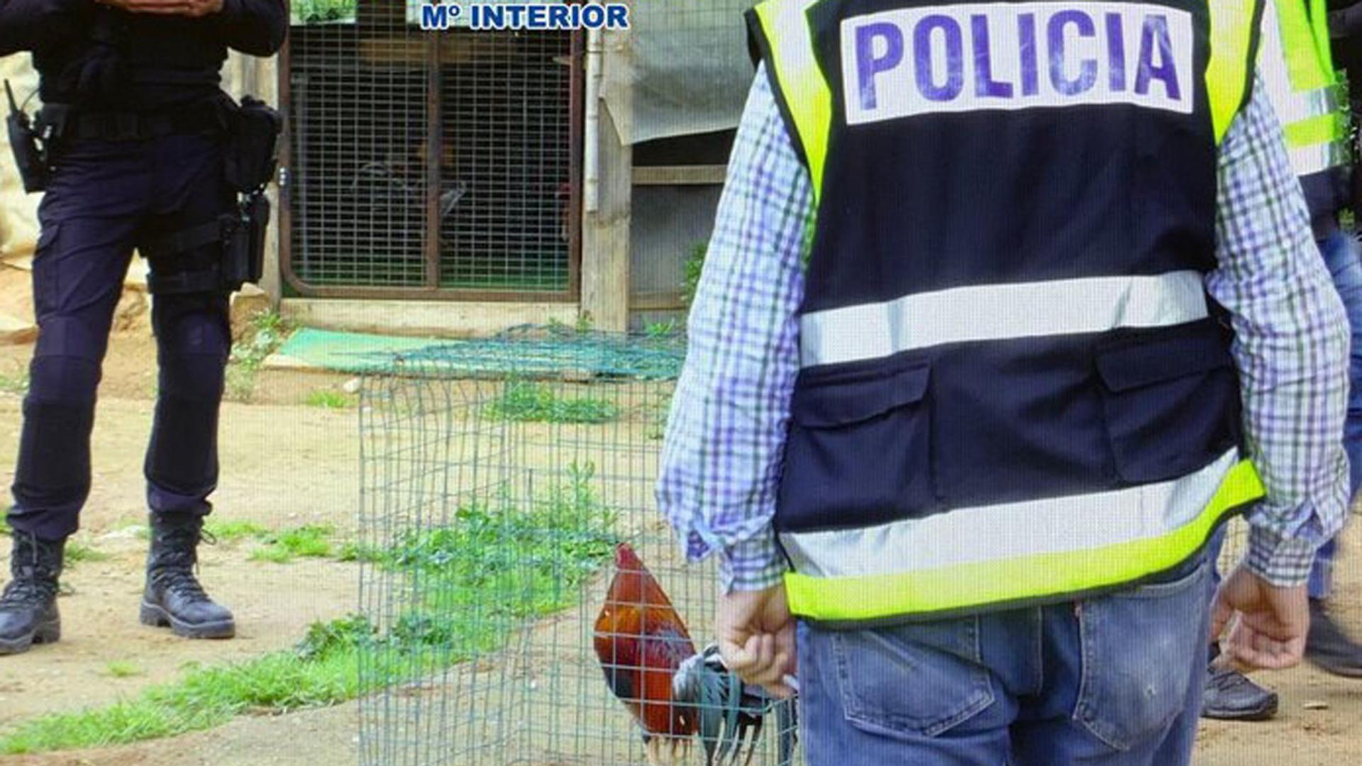 Agentes de la Policía Nacional durante la operación