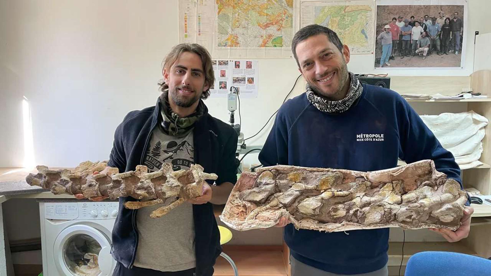 Hallado en Francia el esqueleto casi completo de un titanosaurio de hace 70 millones de años