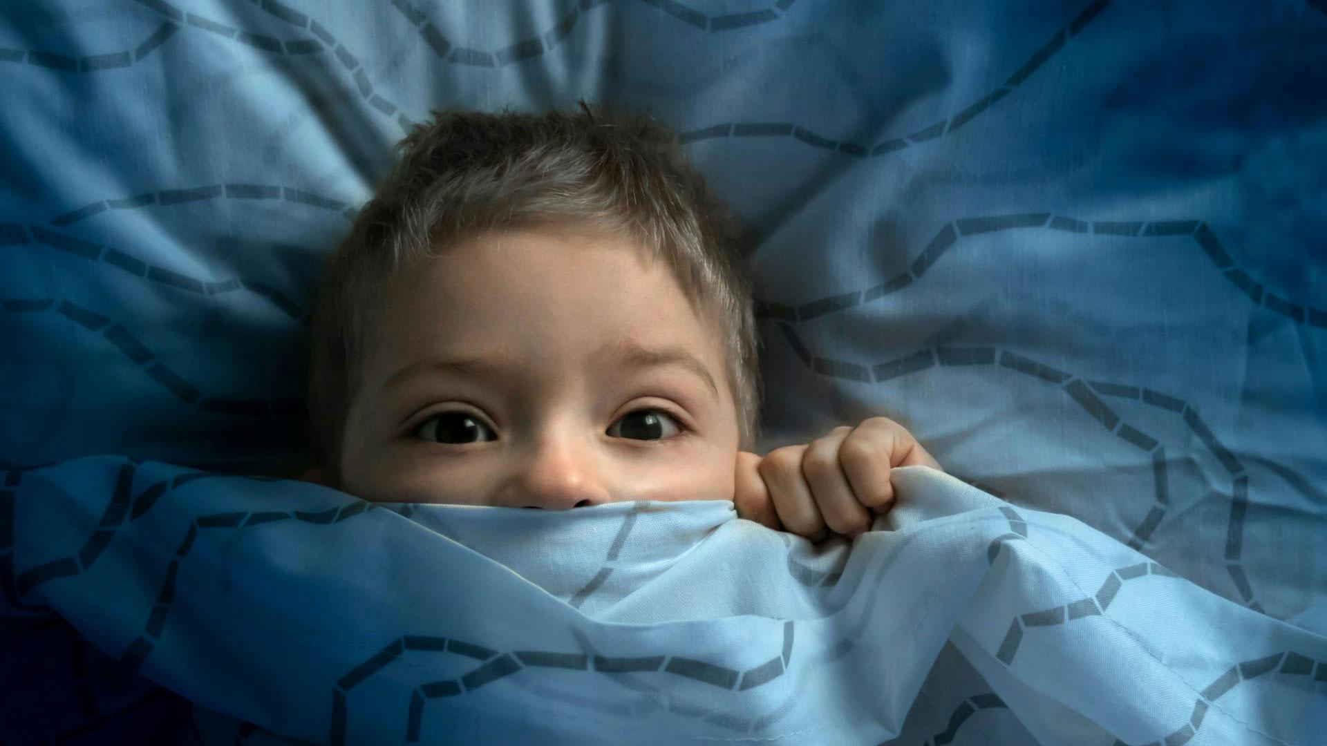 Con miedos nocturnos los niños expresan su angustia ante alguna amenaza estando despiertos, bien en el momento de irse a la cama o bien durante la noche y son diferentes de los terrores nocturnos