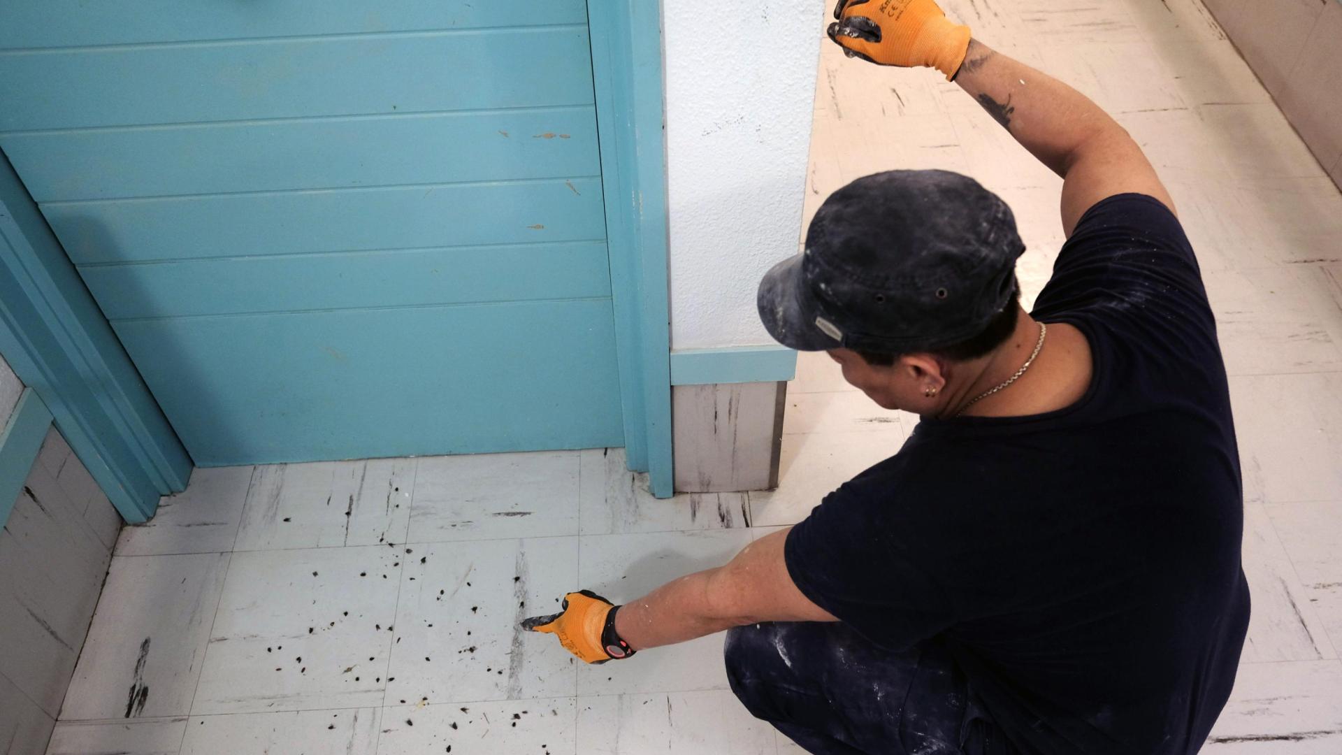 Uno de los albañiles muestran las moscas en el rellano del apartamento