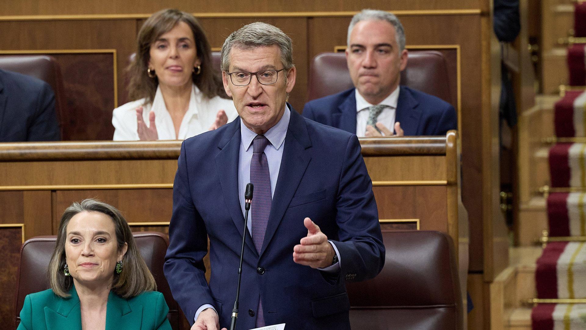 El presidente del PP, Alberto Núñez Feijóo, interviene durante una sesión de control al Gobierno