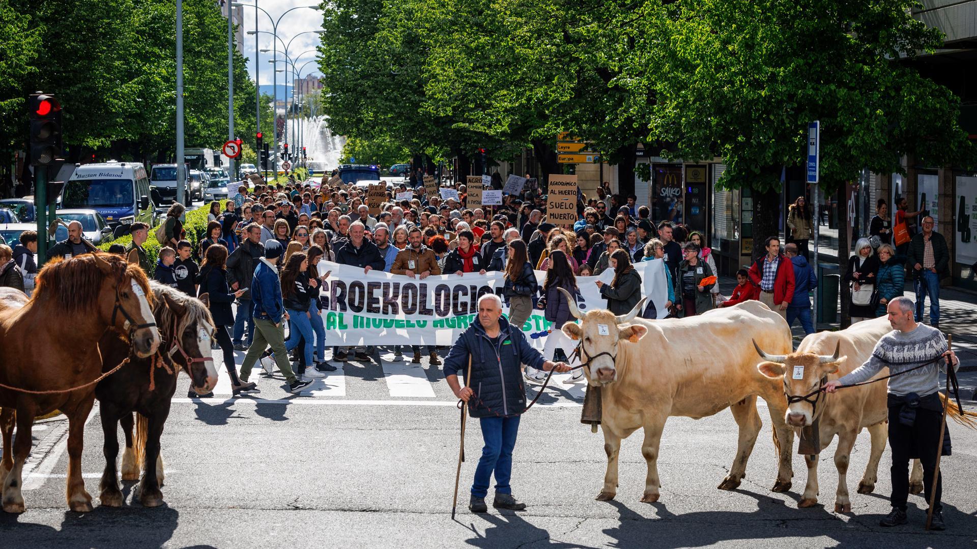 Pequeños productores locales piden en Pamplona un cambio de modelo para lograr soberanía alimentaria