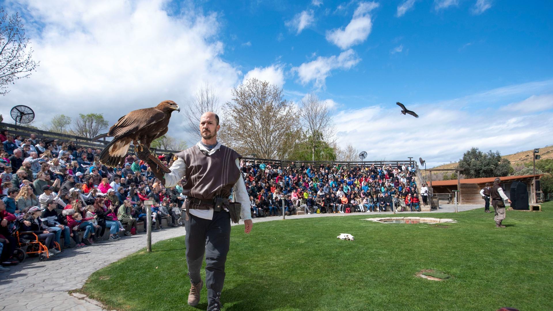 La exhibición del vuelo de las rapaces, estrella del parque Senda Viva, hoy abierto.