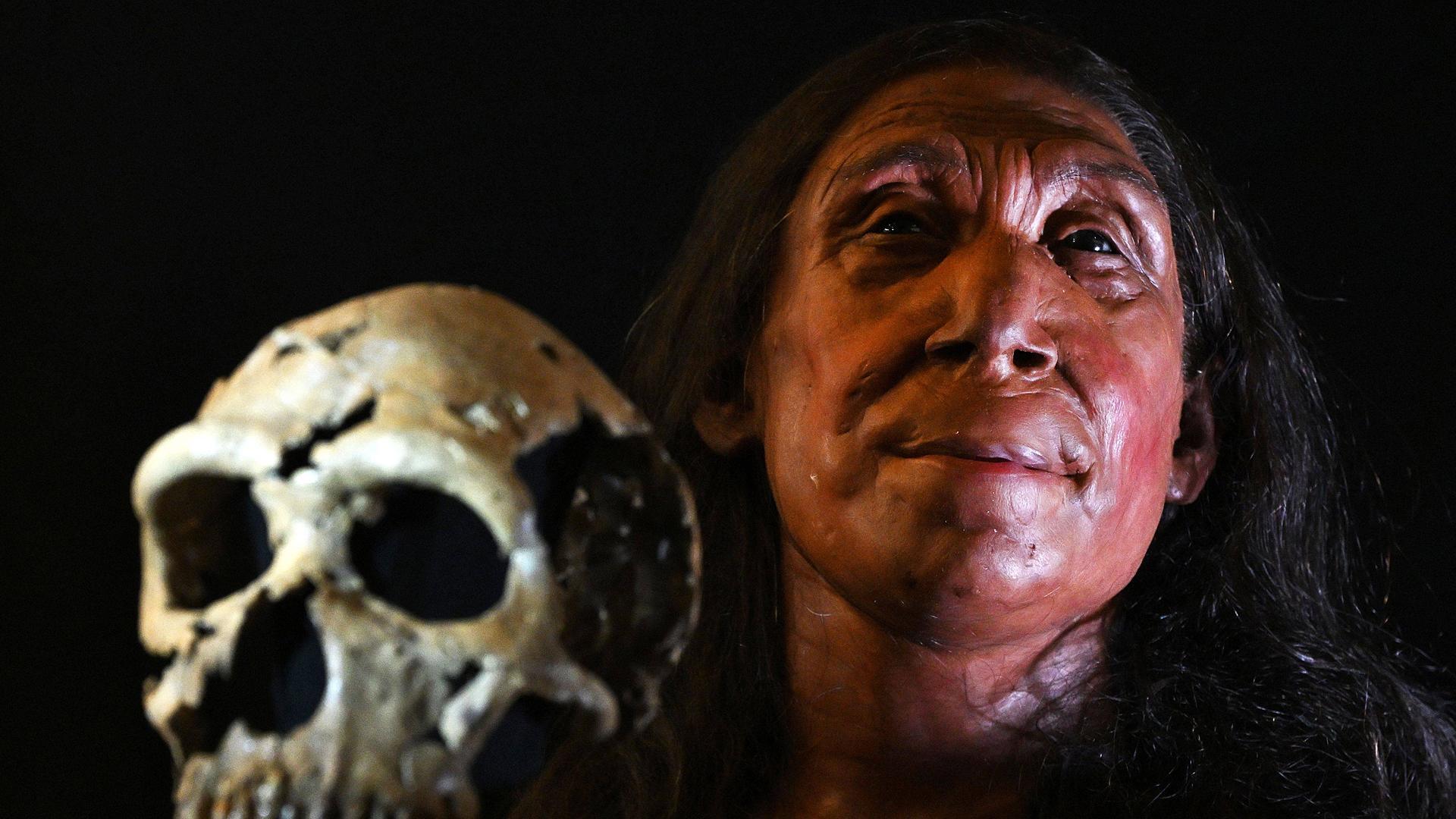 Reconstrucción del rostro de una mujer neandertal de unos 40 años gracias a restos óseos y las nuevas tecnologías