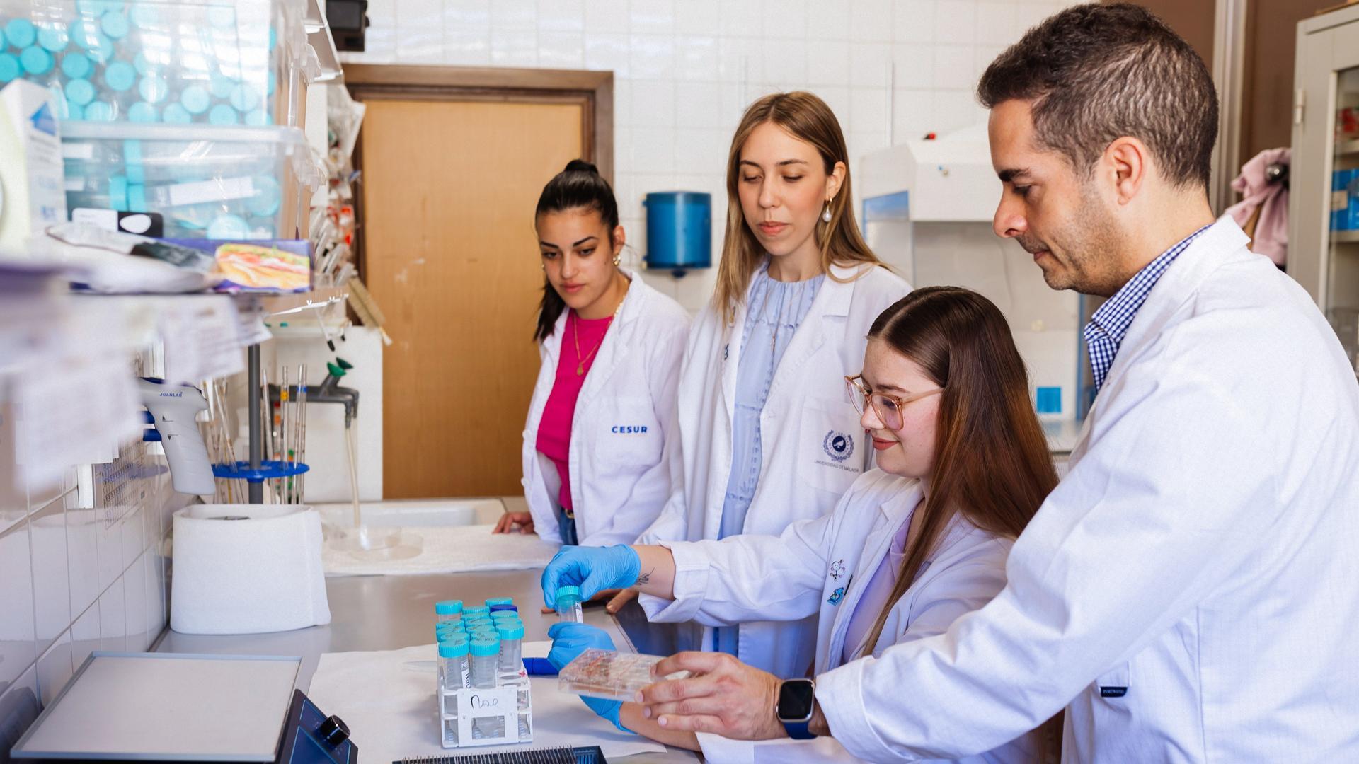 El profesor titular de la Universidad de Málaga y director de la cátedra Imbrain: Neurociencia Integrada y Bienestar, Manuel Narváez(d), junto a su equipo de trabajo en el laboratorio de la facultad de Medicina