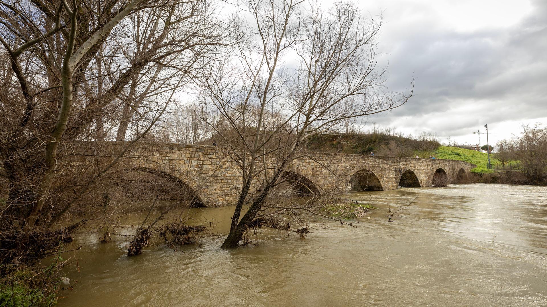 El Río Arga a su paso por Burlada por el Puente Viejo