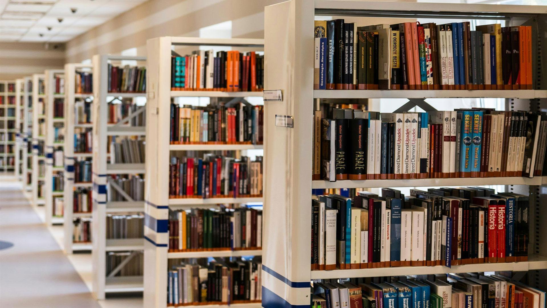 El Plan de mejora de las competencias lectoras de Navarra comenzará por el alumnado de 3º y 4ª de ESO e irá desplegando las medidas de refuerzo hasta alcanzar todas las etapas educativas básicas
