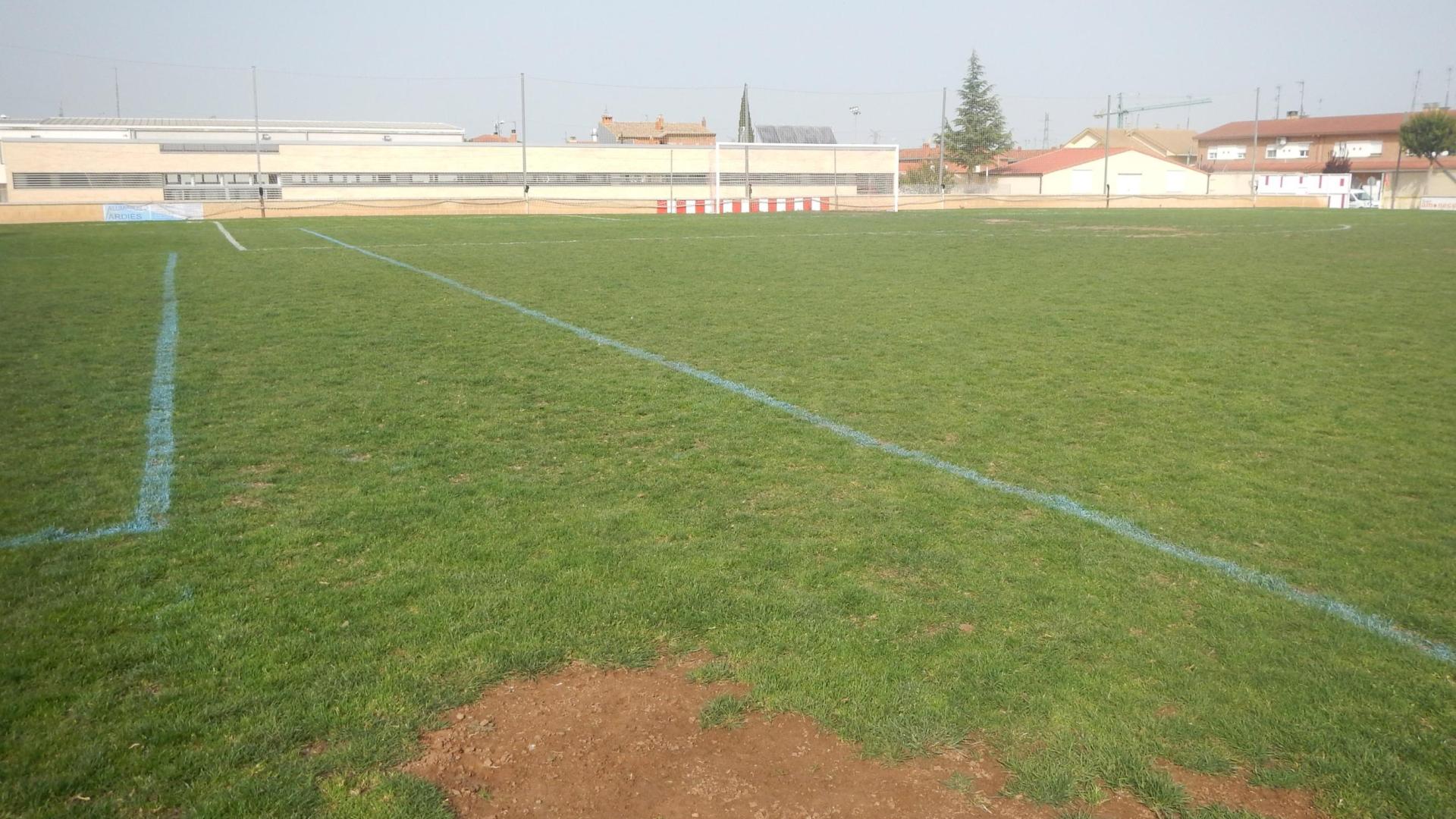 Imagen del mal estado en el que se encuentra el césped del campo de fútbol de Castejón.