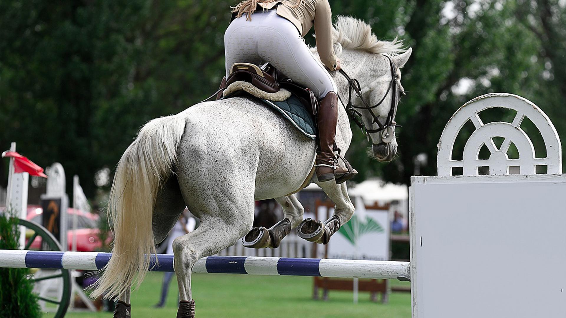 Una jinete salta con su caballo