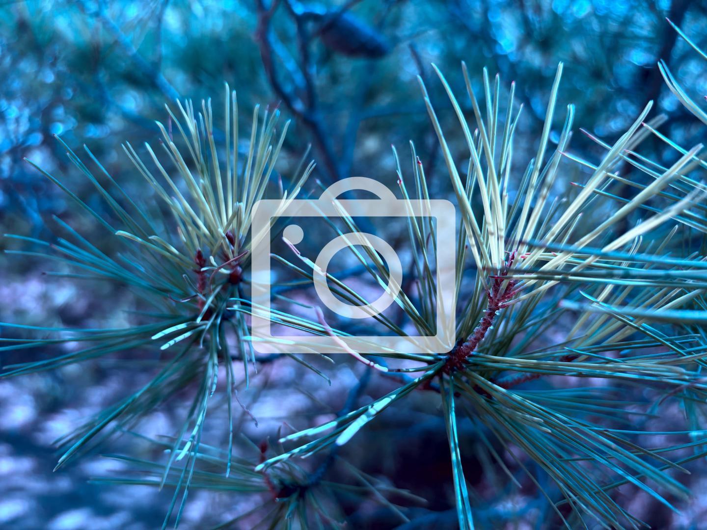 El nuevo jefe de Servicio de Bomberos, Iñaki Elías.