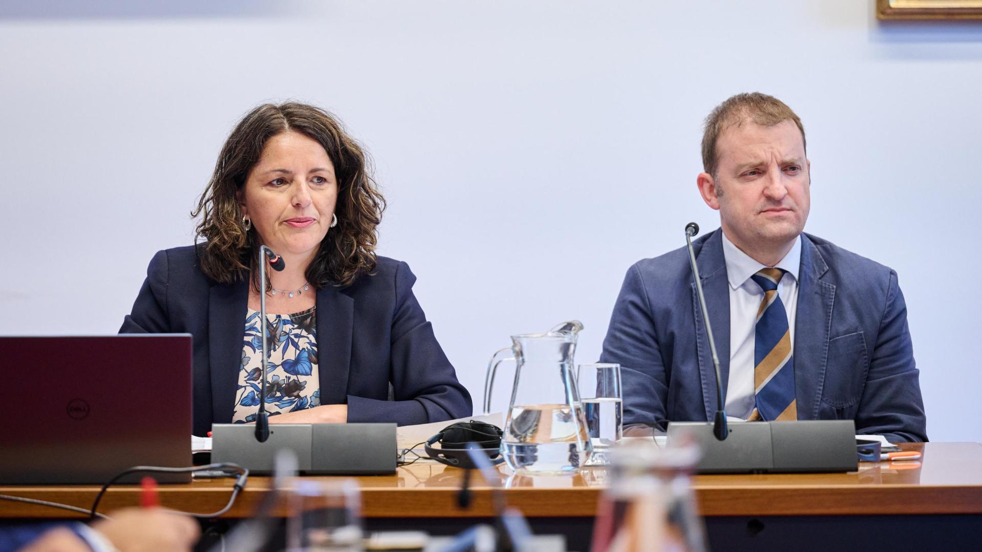 Carmen Cuartero y Jorge Corrales, directora de comunicación y director general de CEDRO, respectivamente, este miércoles, en la Comisión de Cultura del Parlamento de Navarra.