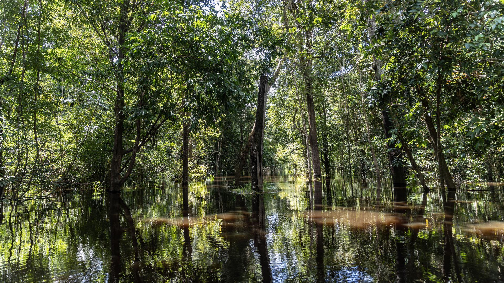Biodiversidad