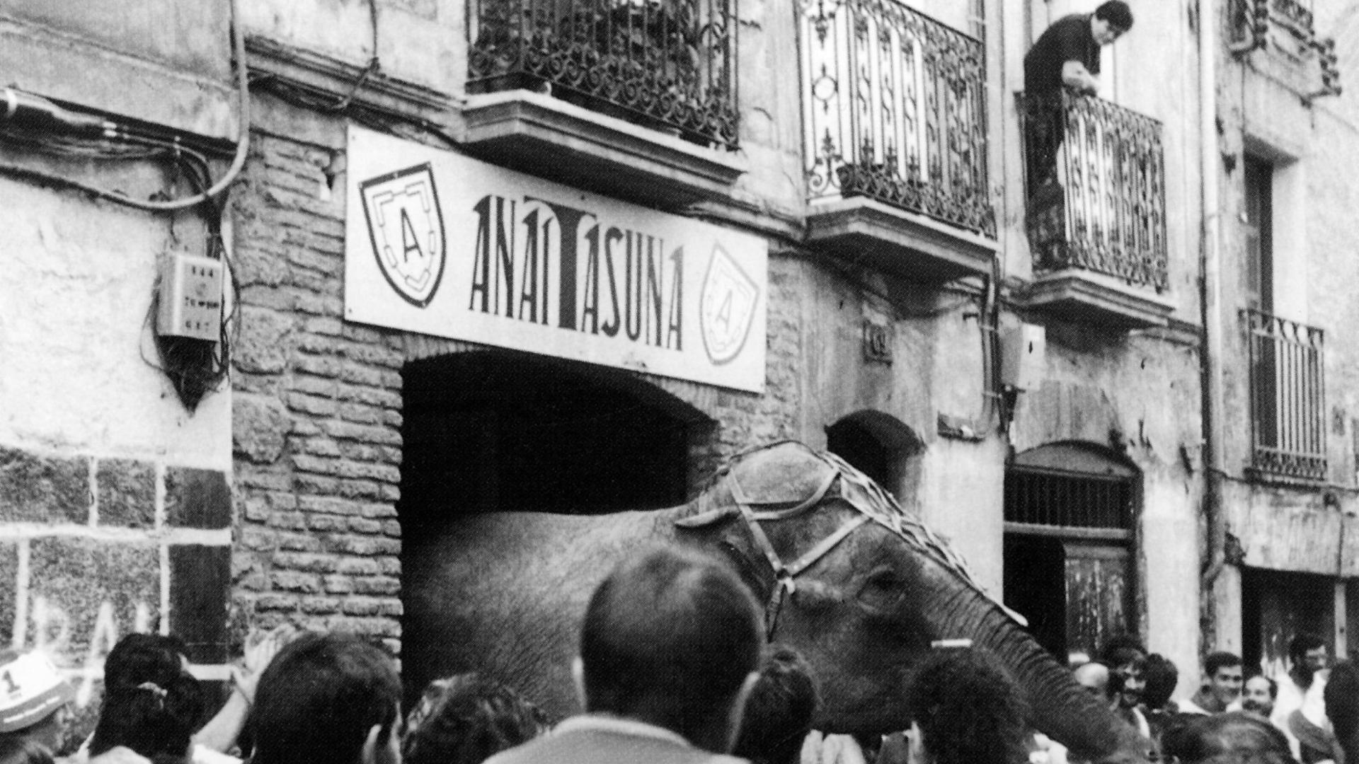El elefante que Fernando Lizaur metió en la peña Anaitasuna.