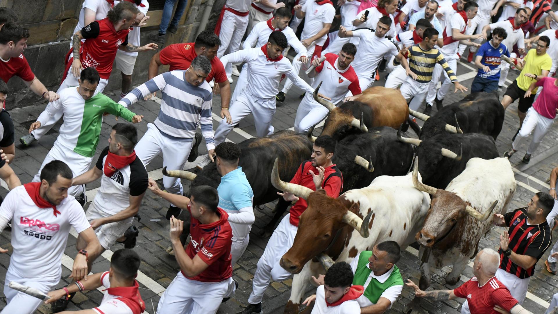 El mozo ha llegado a quedar completamente rodeado. La manada le ha rebasado por ambos lados por su gran velocidad