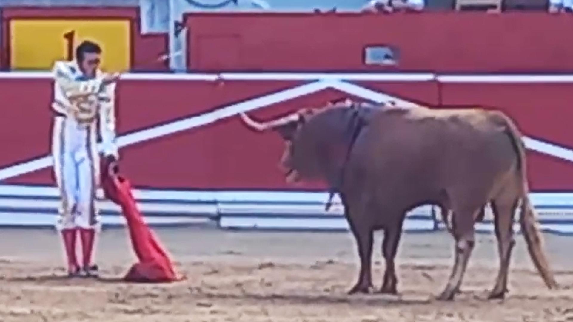Estocada de Alejandro Talavante al primer toro de la corrida del 11 de julio