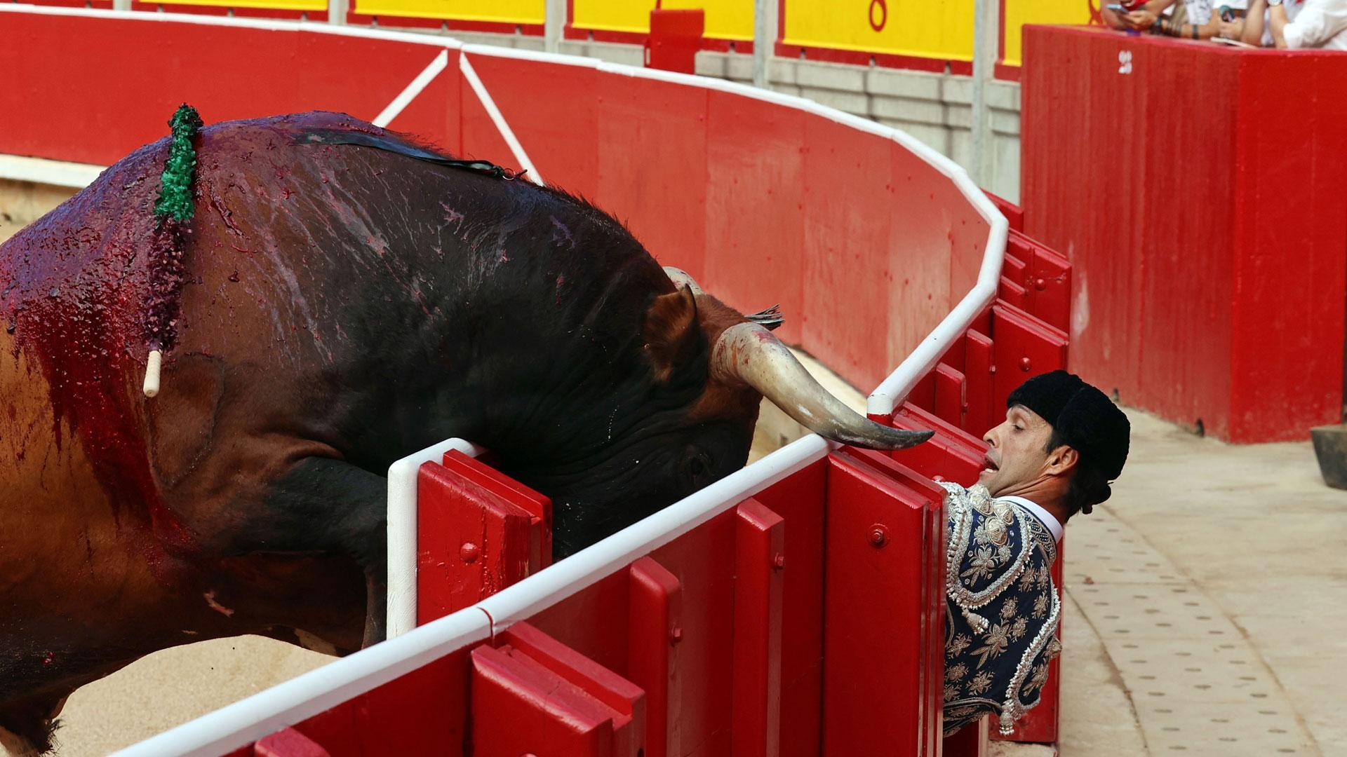 El primer toro de Antonio Ferrera, de la ganadería Miura, ha amagado con saltar al callejón durante la última corrida de la Feria del Toro de Pamplona