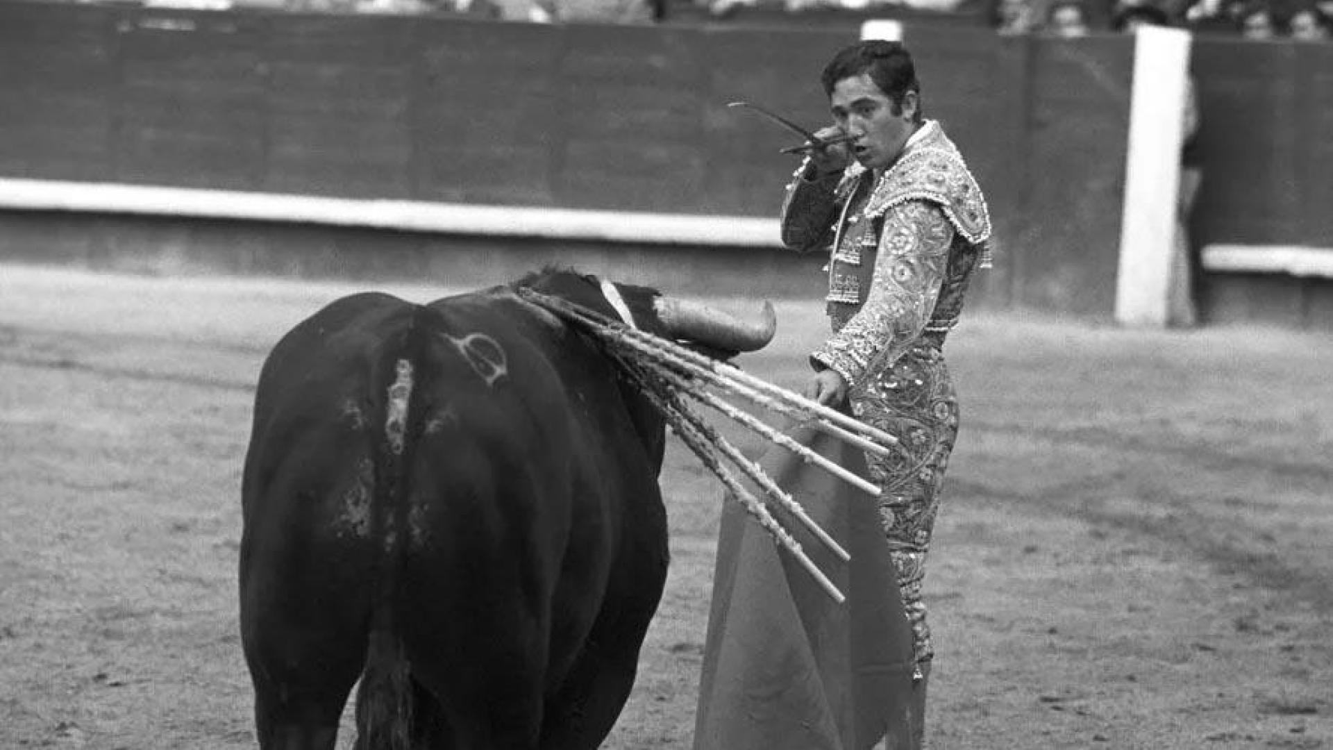 Paco Camino