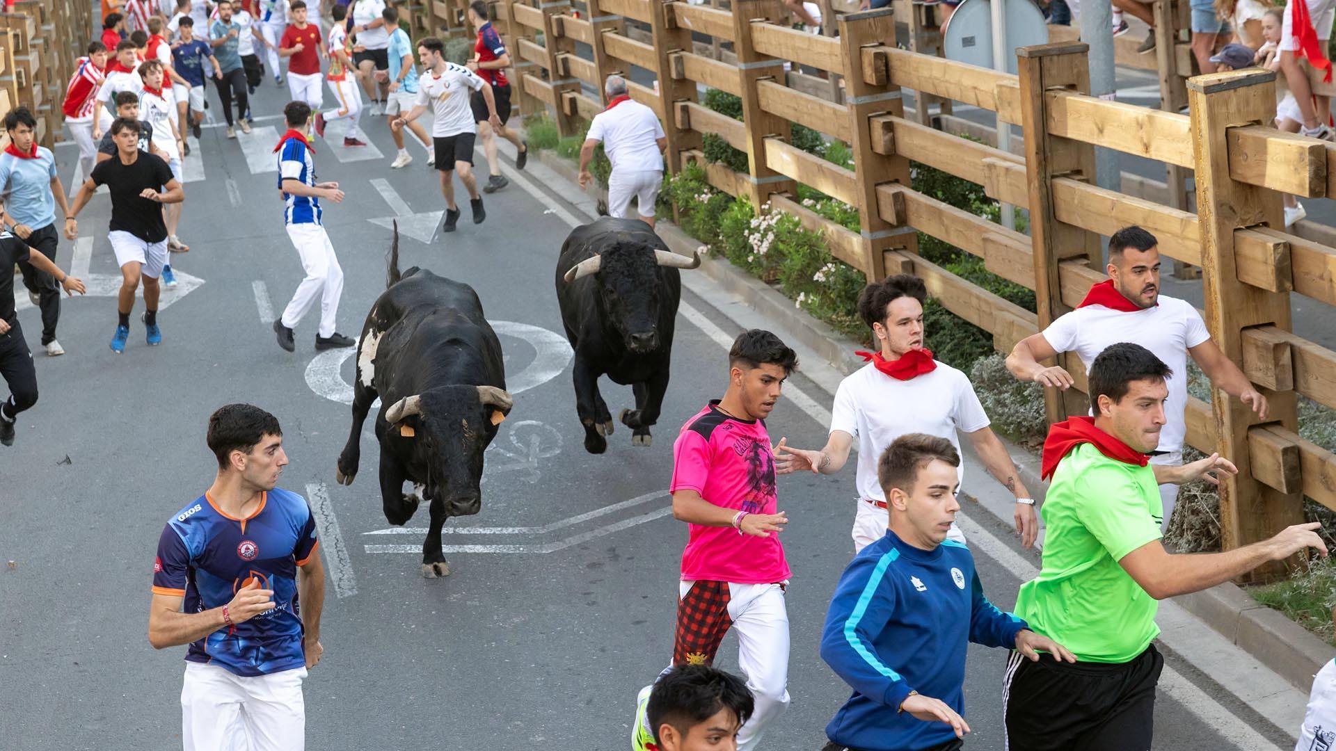 Fotos del sexto y último encierro de fiestas de Tudela 2024. /