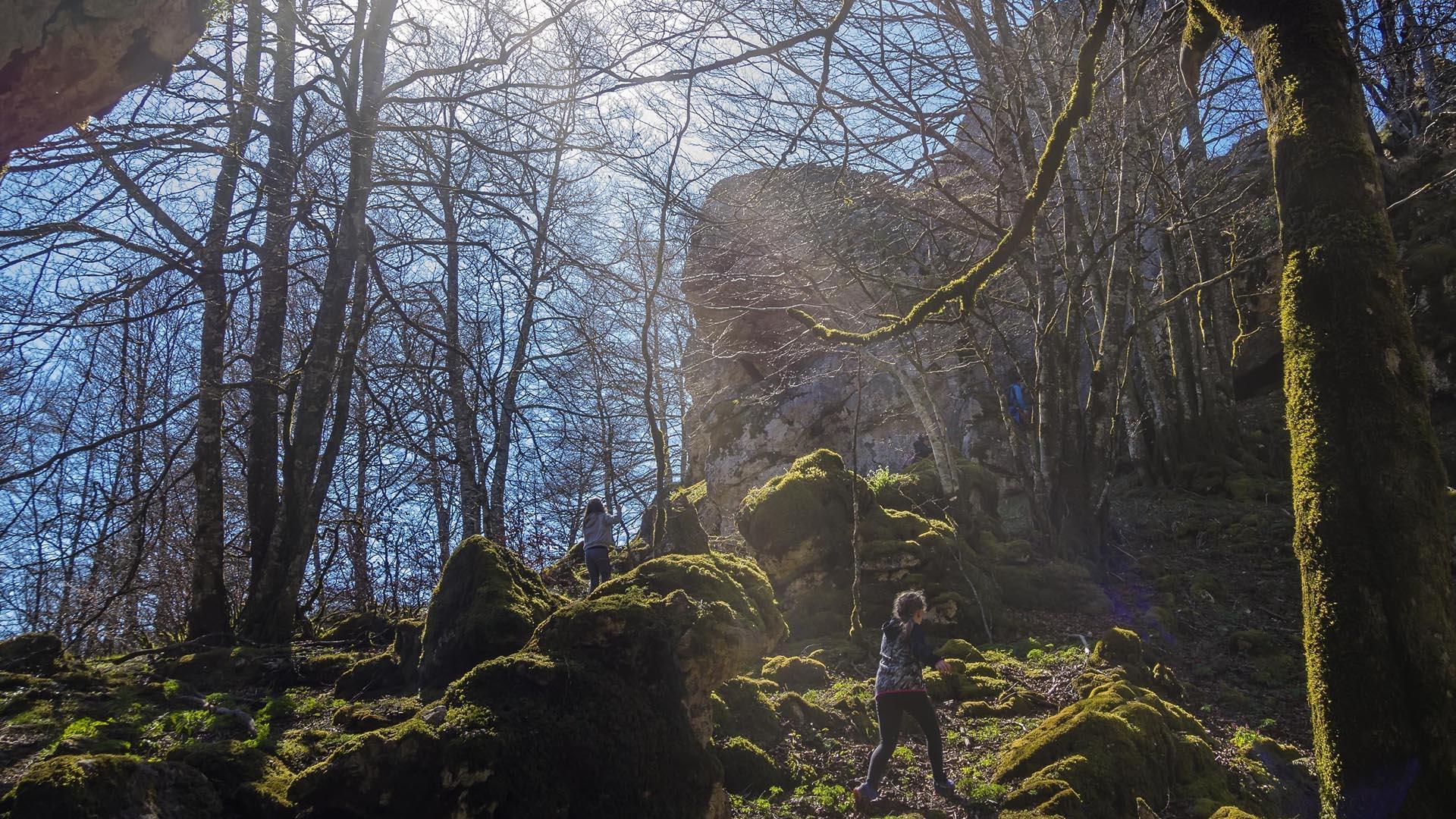 Unas niñas jugando en el Bosque Encantado