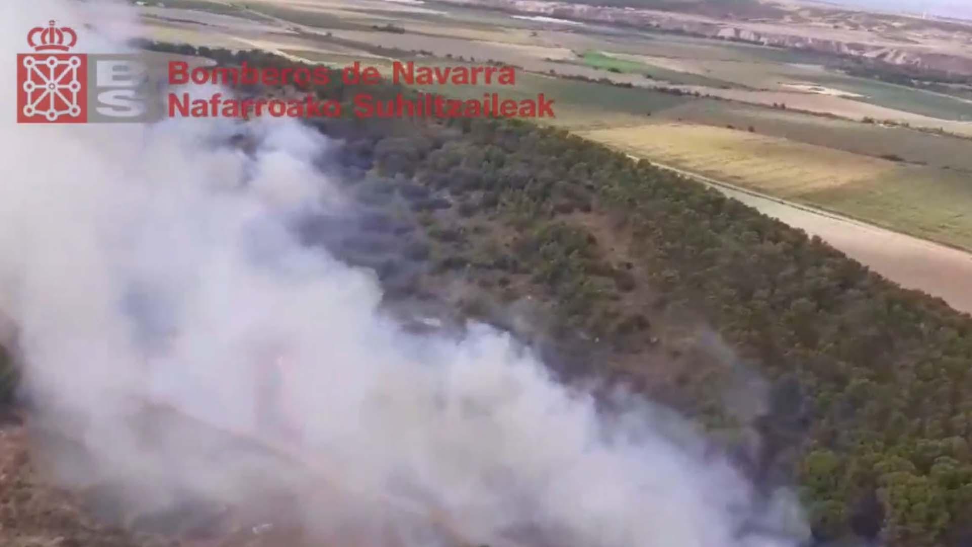 El fuego afecta a un pinar y los bomberos trabajan en su extinción