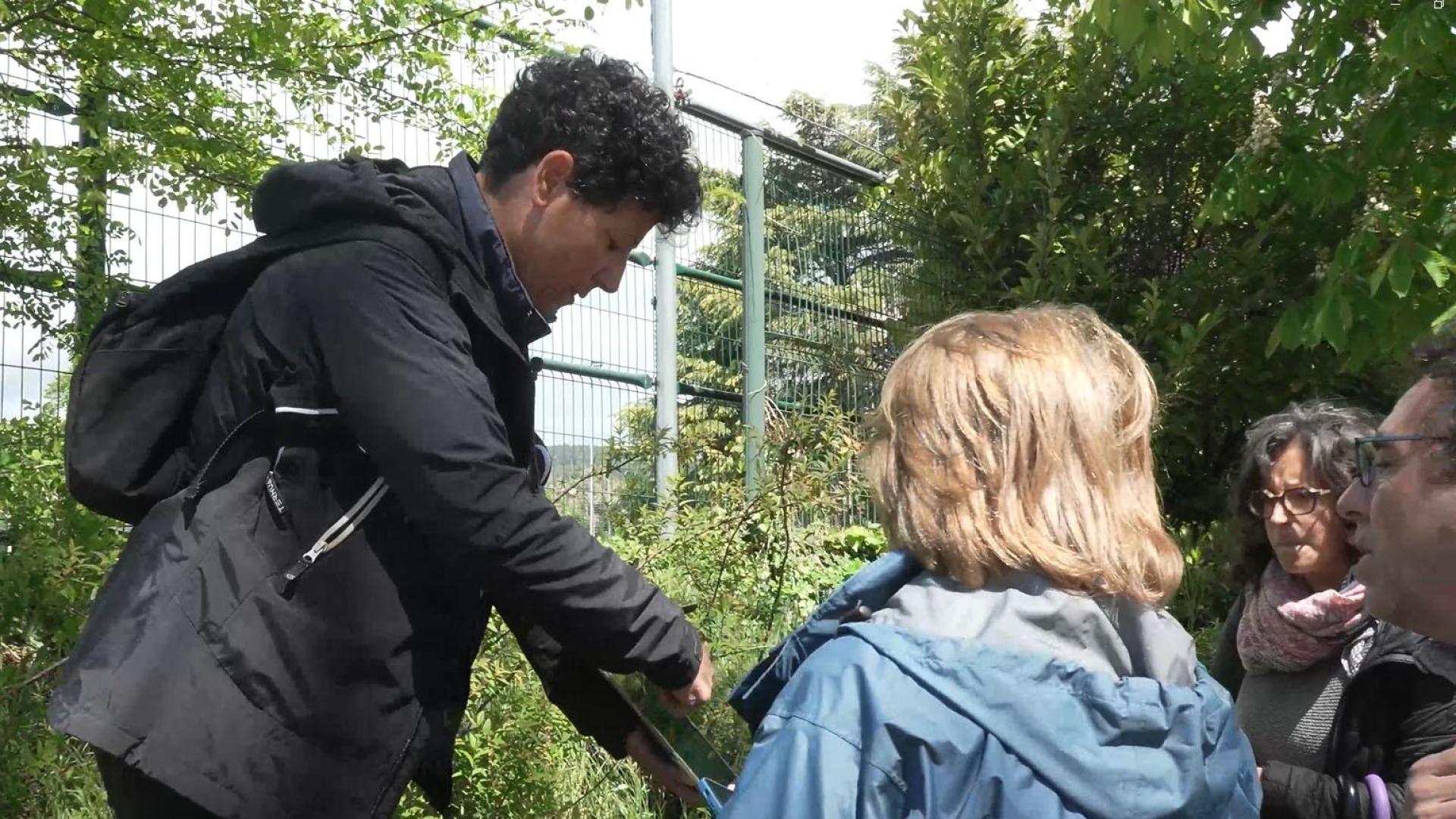 Entre las especies más numerosas y con mayor potencial invasor se encuentran el ailanto (con 35 ejemplares o masas jóvenes), la robinia (con 34 ejemplares) y la caña