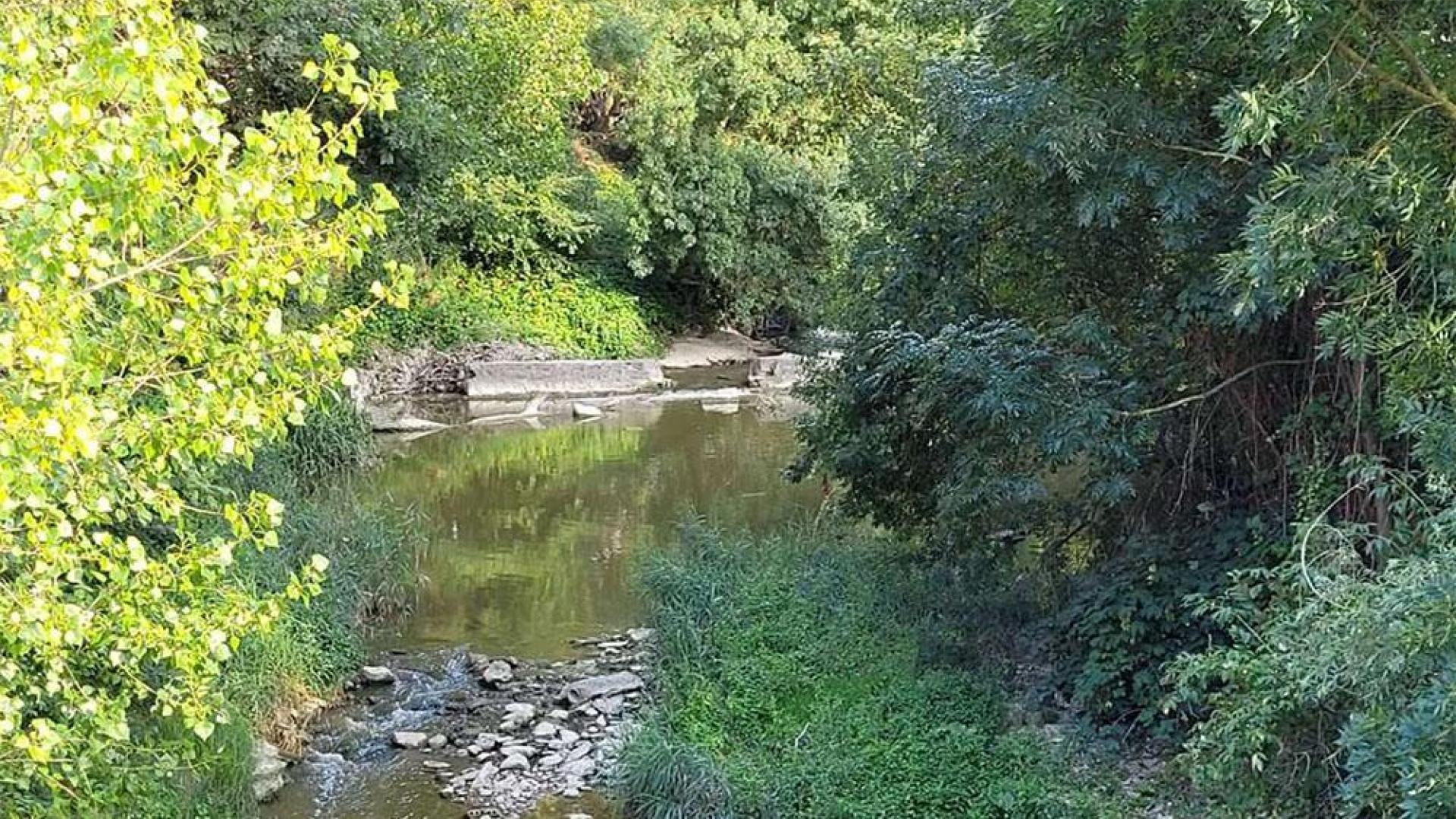Entorno del río Elorz