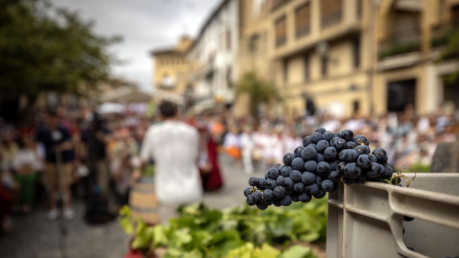 Fotos de la Fiesta de la Vendimia de Olite 2024. /