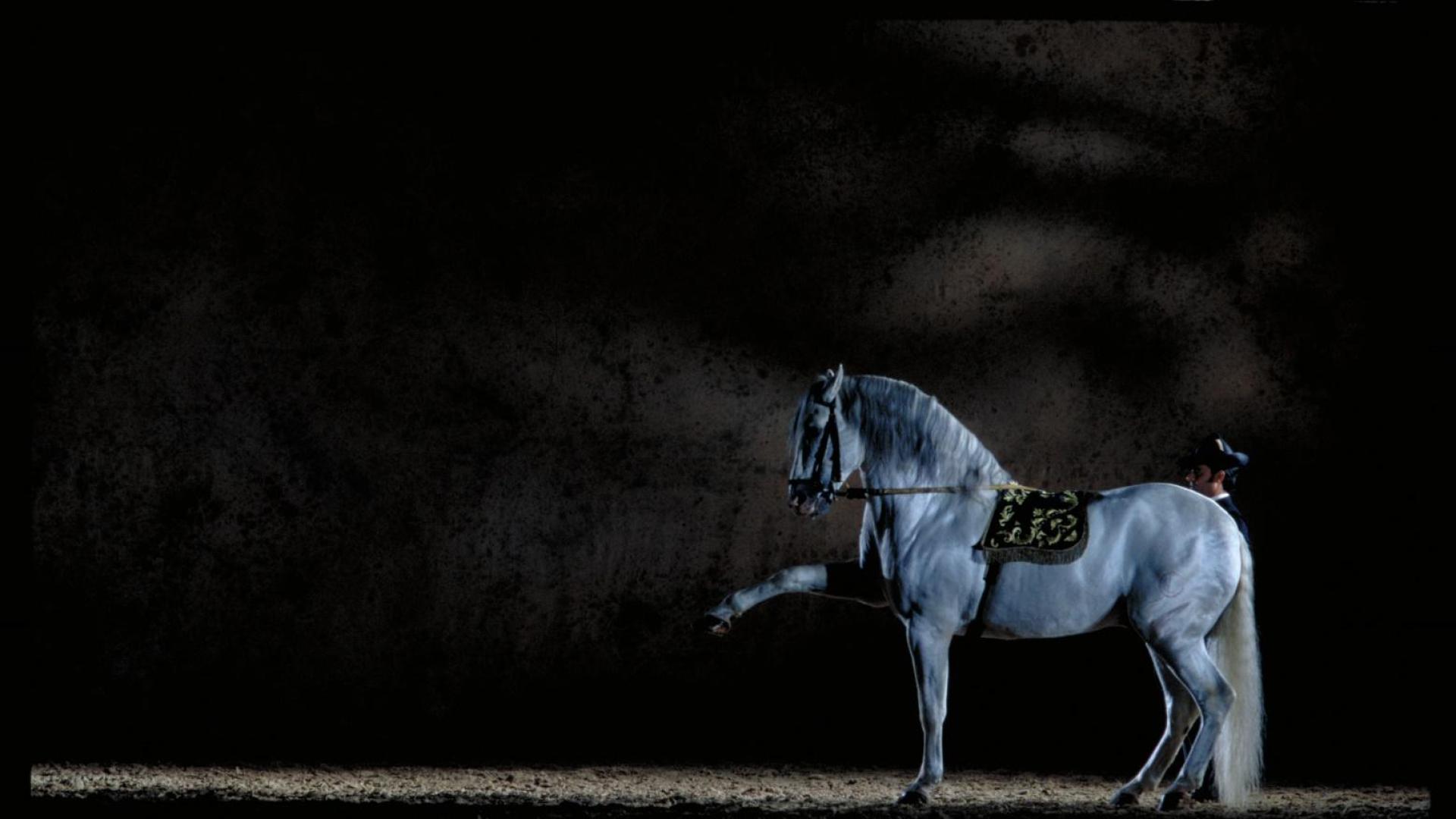 Imagen de uno de los números del espectáculo "Cómo Bailan los Caballos Andauces"