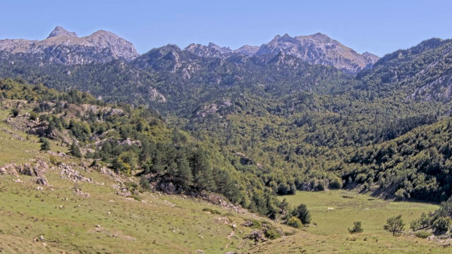 Vista de Belagua este sábado al mediodía, con jornada soleada pese a haber amanecido con temperaturas más típicas del otoño