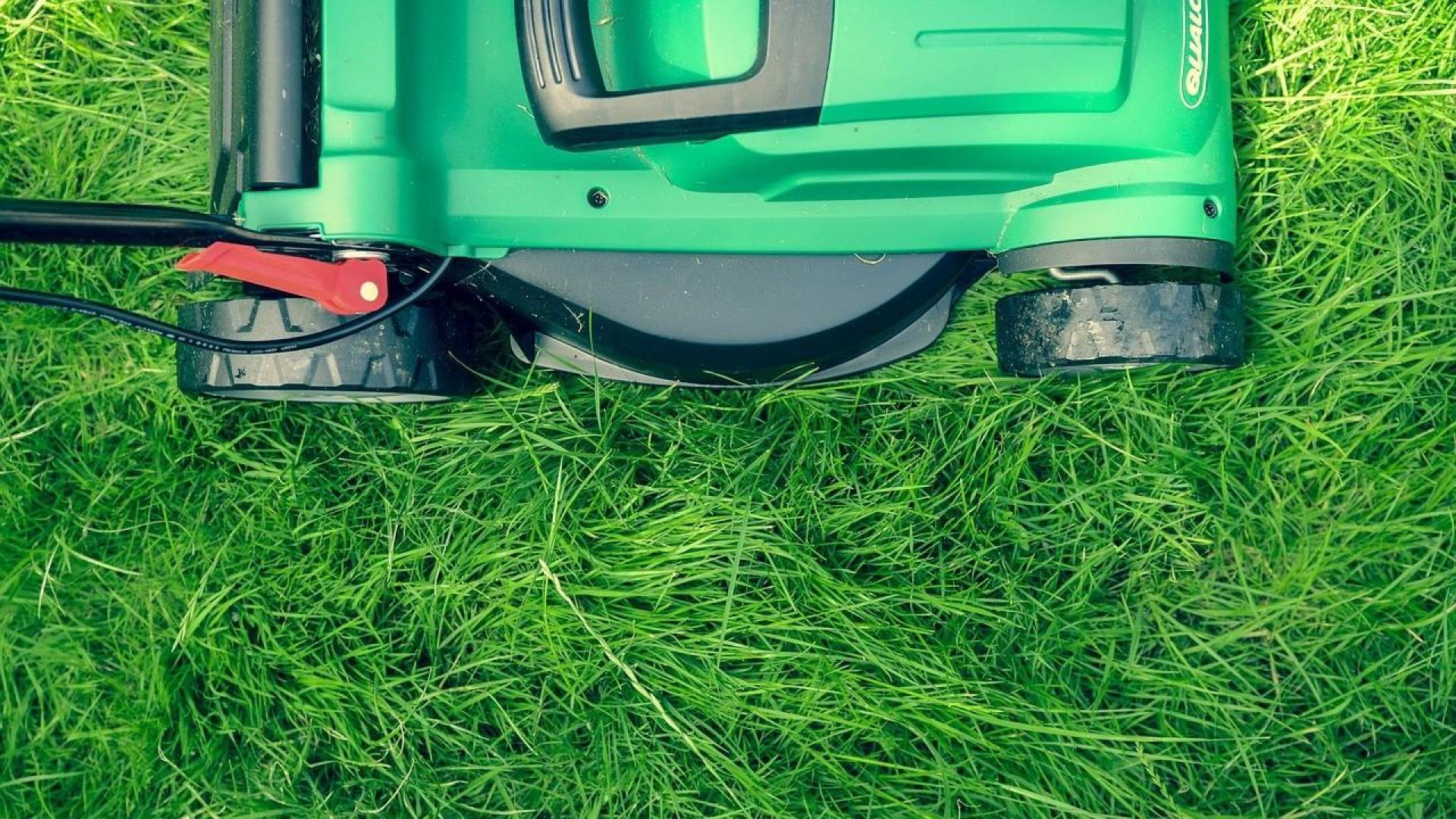 El glifosato se utiliza en tanto en agricultura como en el cuidado de jardines y espacios verdes.