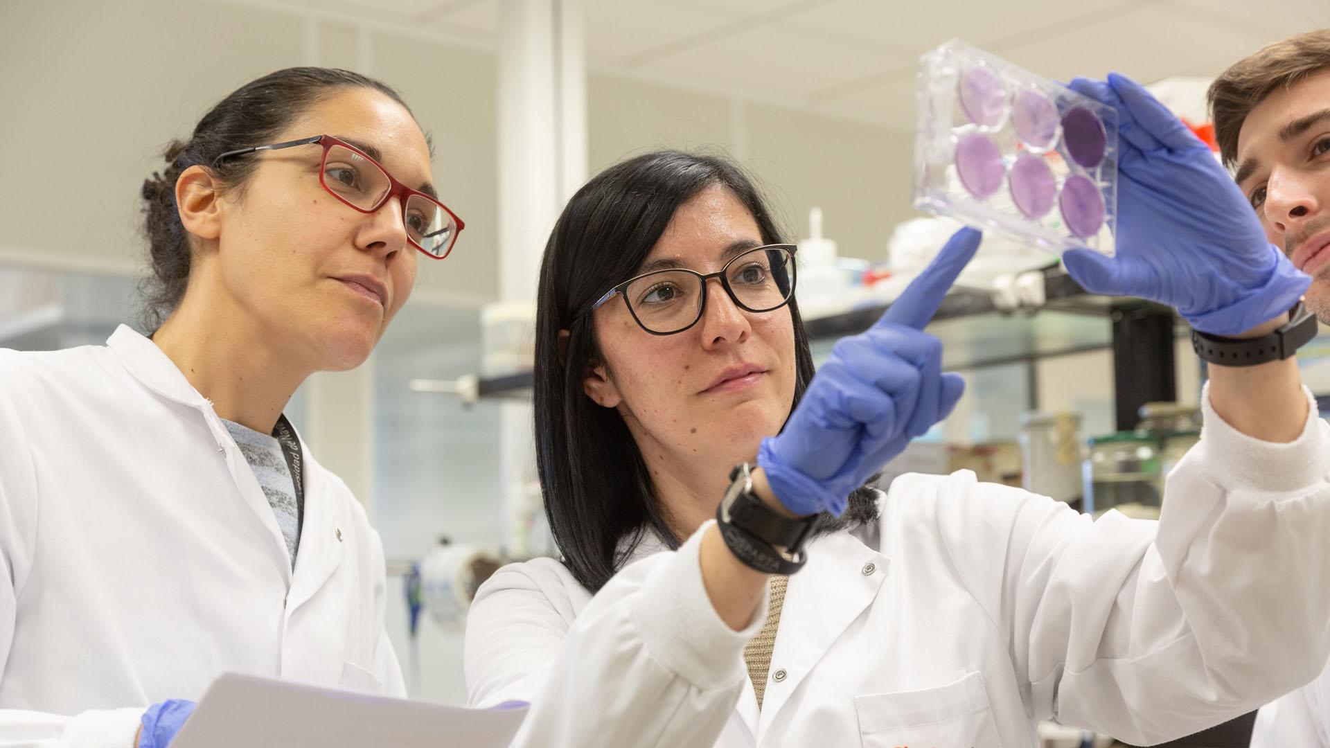 La Universidad de Navarra destaca, a nivel internacional, en calidad de la investigación, colaboración con la industria y orientación internacional