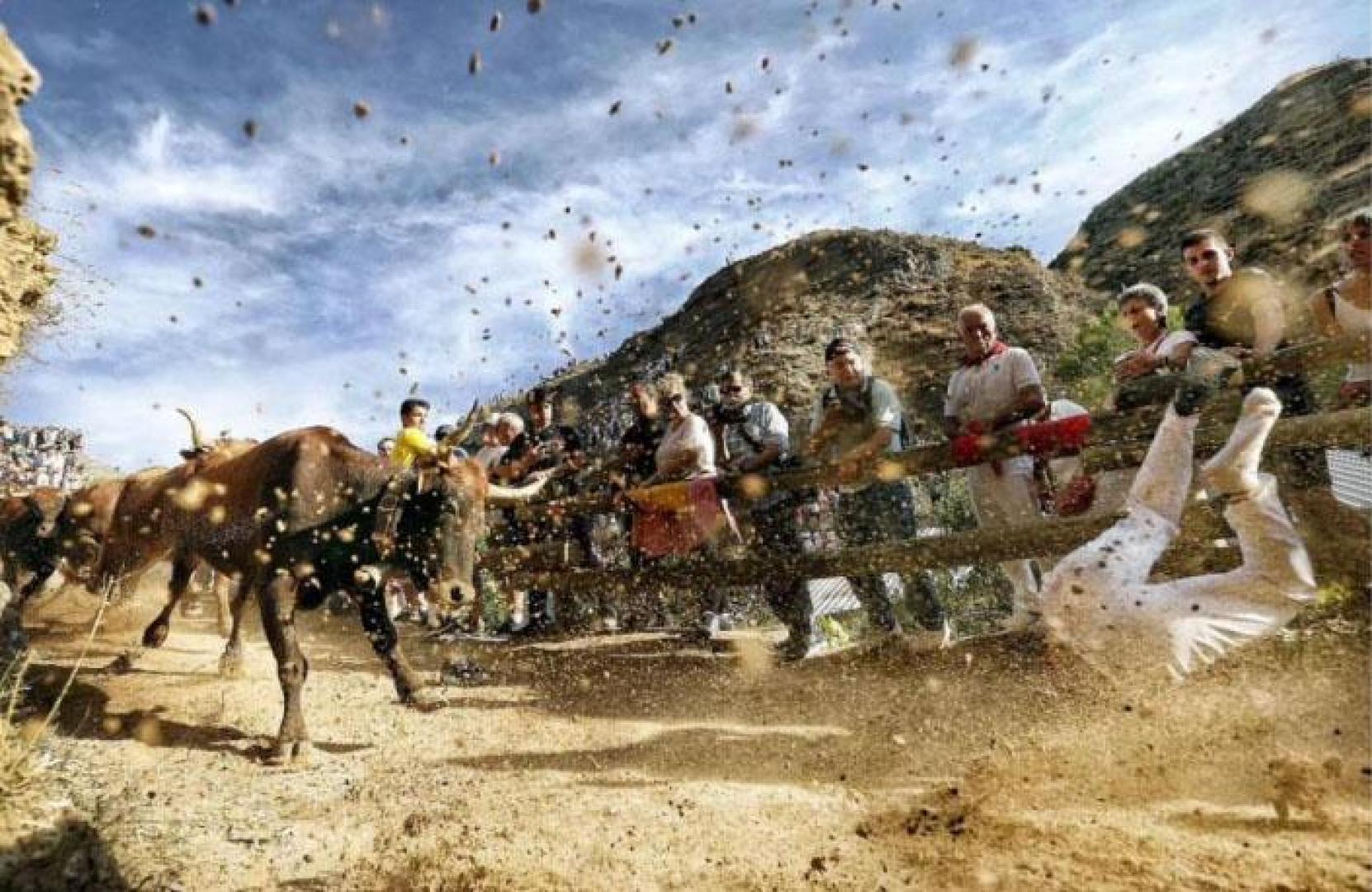 Fotografía de Jesús Diges del encierro del pilón de Falces premiada con el Teobaldo