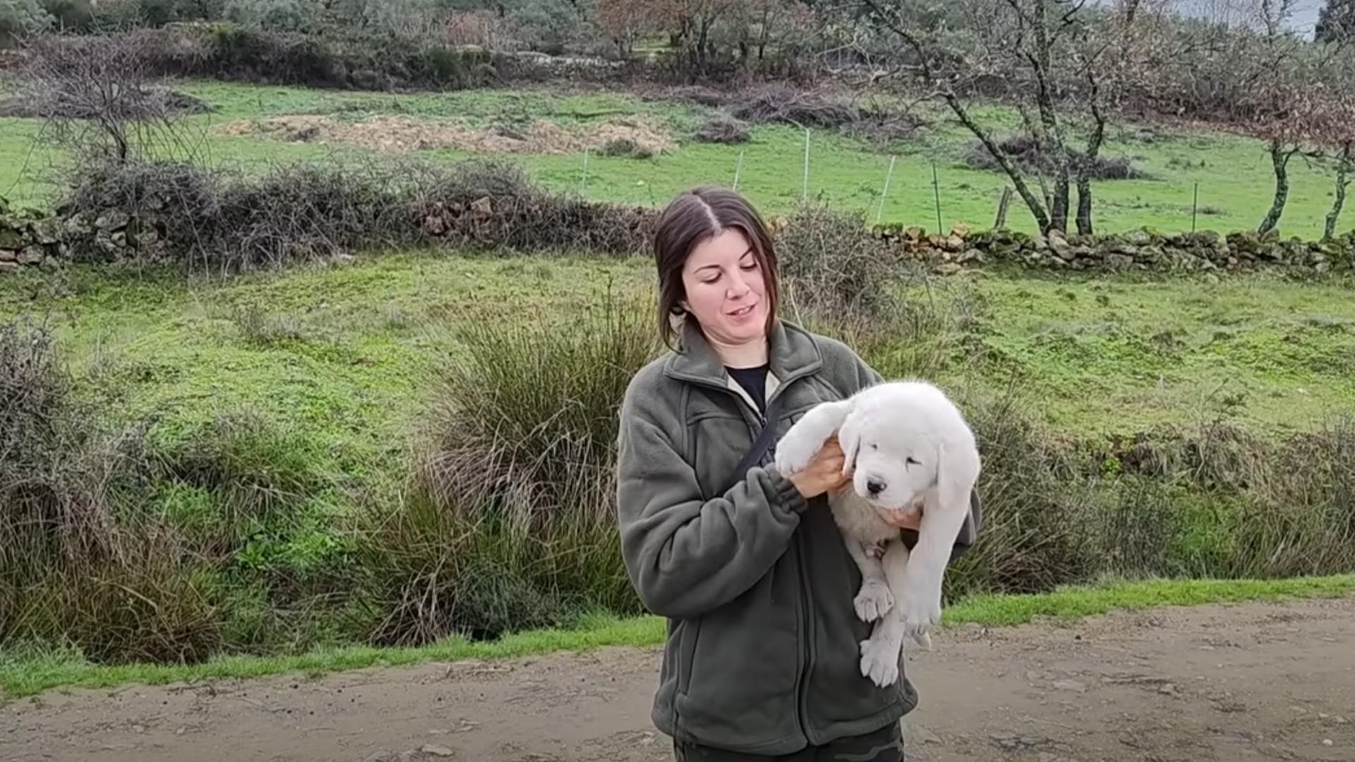 Nazaret Martín, con el cachorro de mastín 'Curro' en brazos