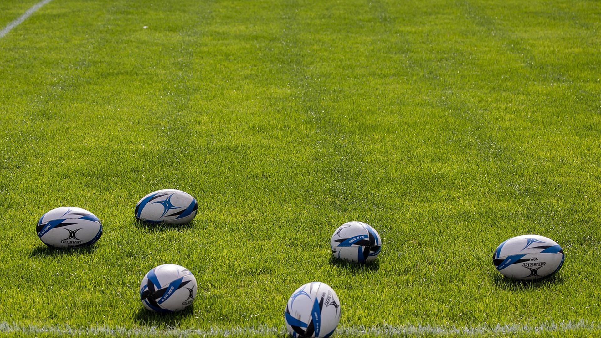 Varios balones de rugby