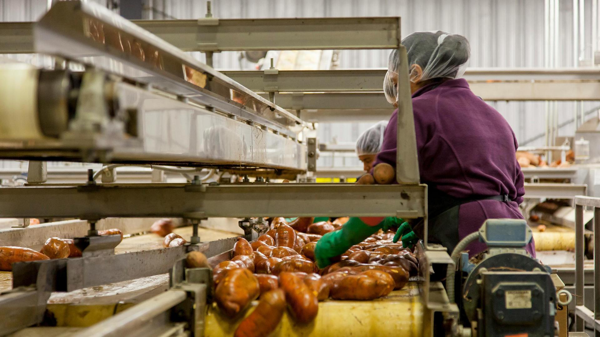 Imagen del interior de una empresa