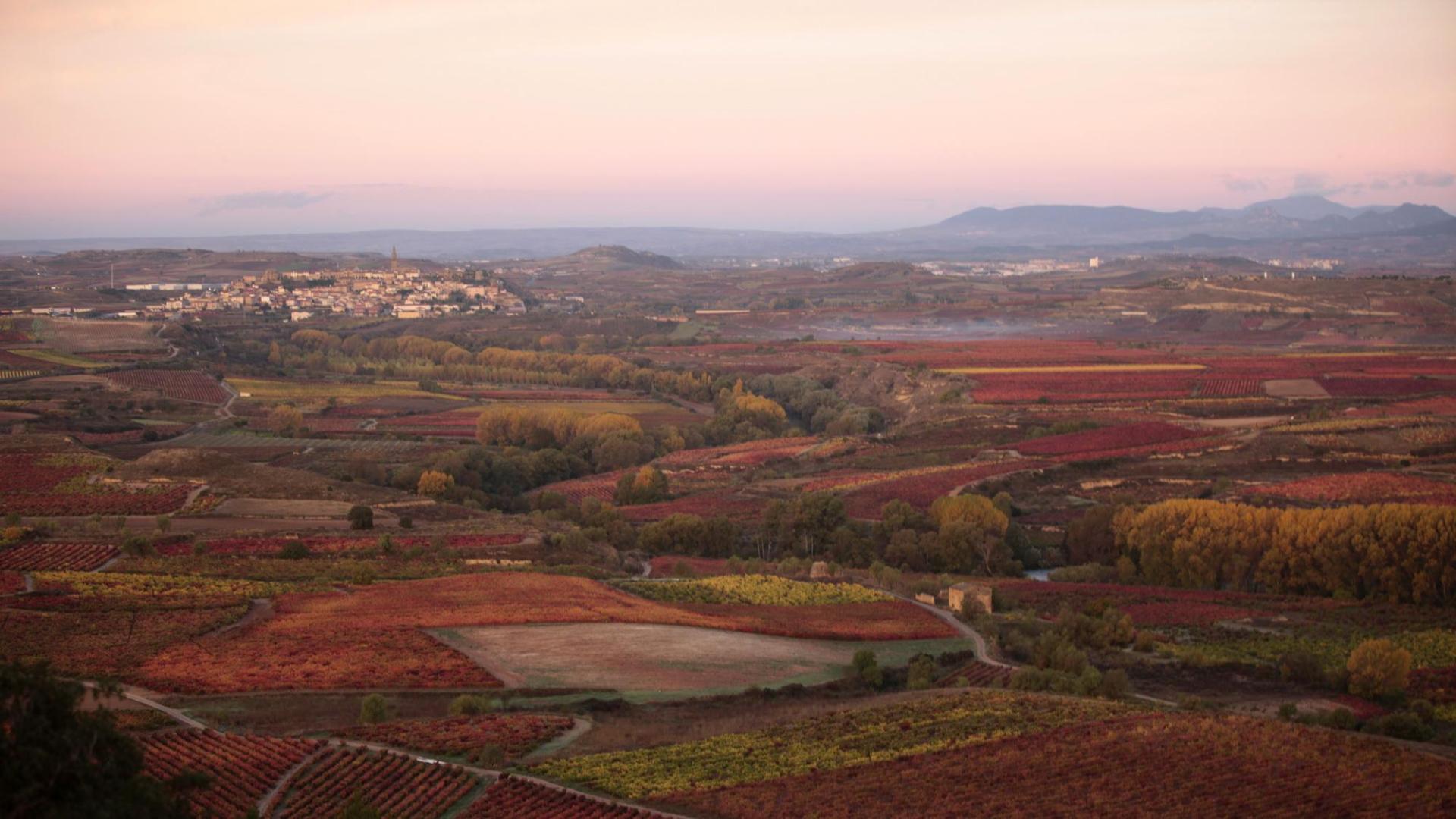 Paisaje de otoño en los viñedos de la Rioja Alta