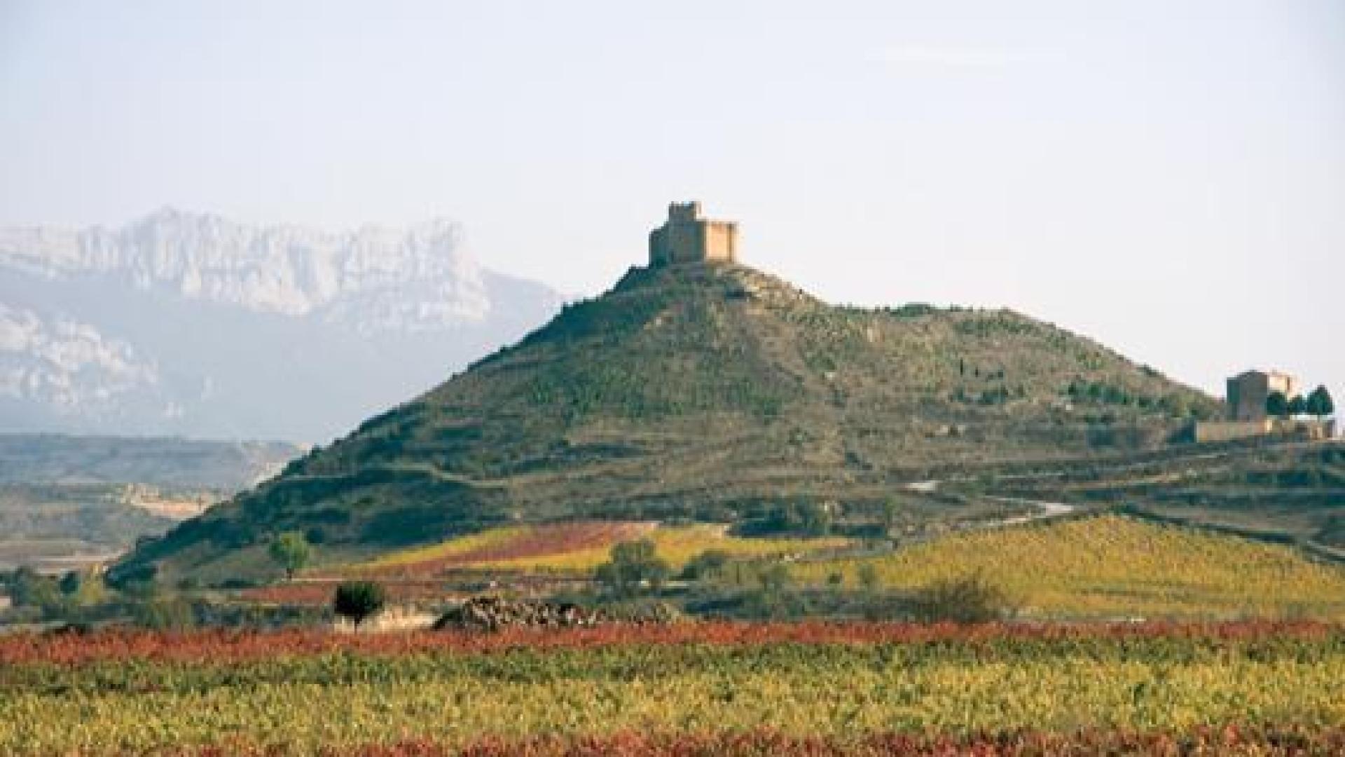 El castillo de Davalillo, de estilo románico, se encuentra sobre un cerro que domina el valle del río Ebro