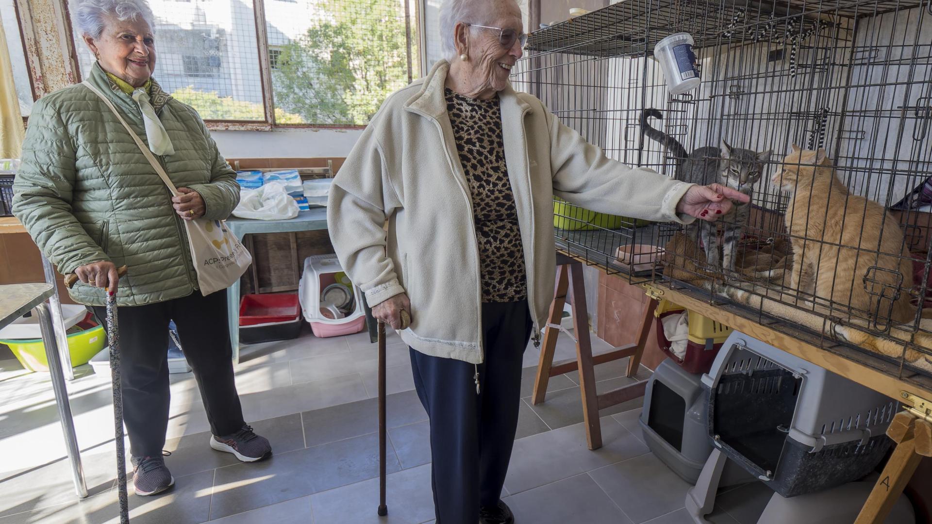 *A:MONTXO A.G.
*F: 2024-10-04
*L: ESTELLA-LIZARRA
*T: VISITA DE RESIDENTES DE LA RESIDENCIA SAN JERONIMO A LAS INSTALACIONES DE EGAPELUDOS SECCION GATOS
*P: