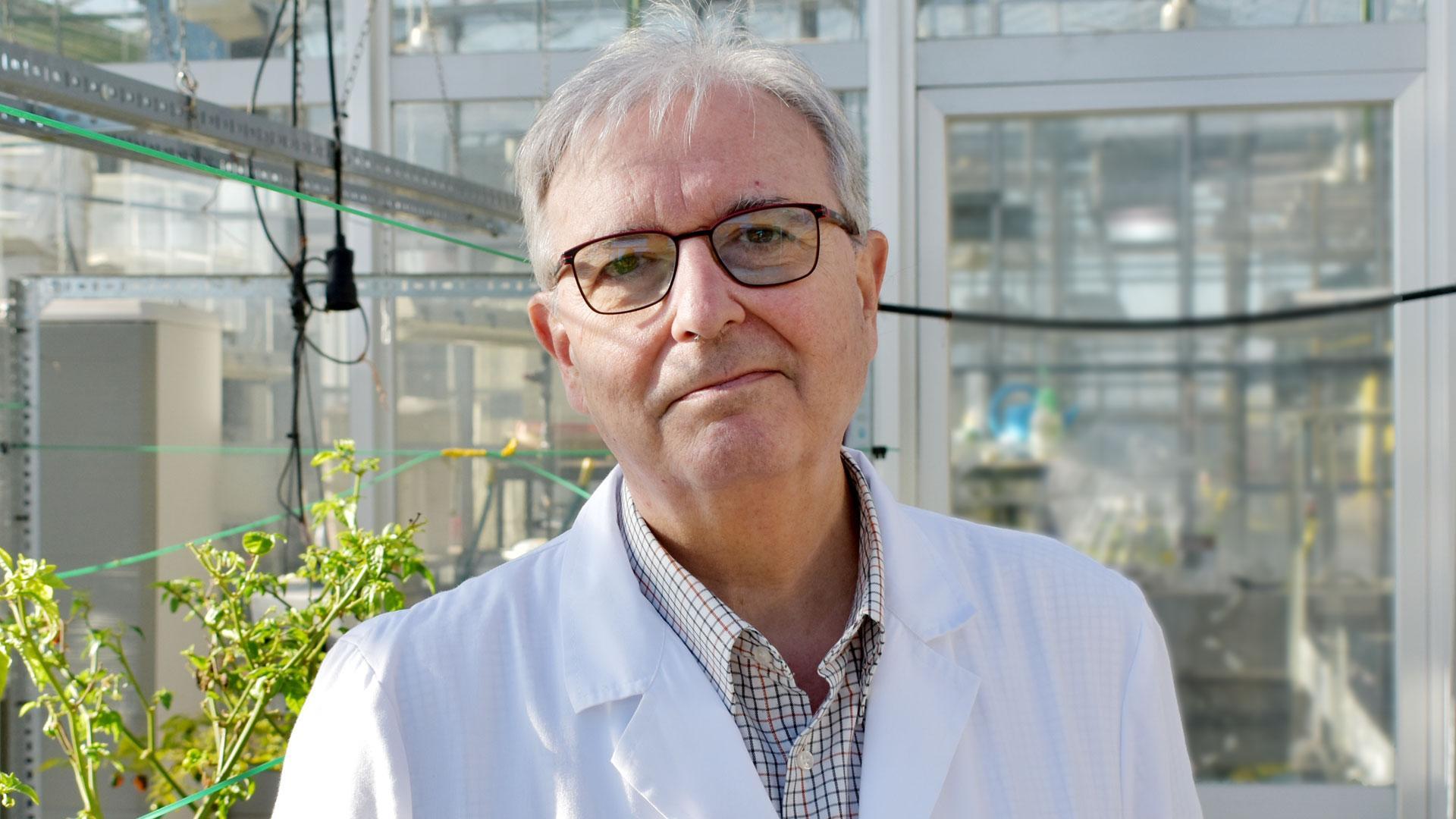 El director de la Cátedra TIMAC AGRO – Universidad de Navarra, José María García-Mina Freire