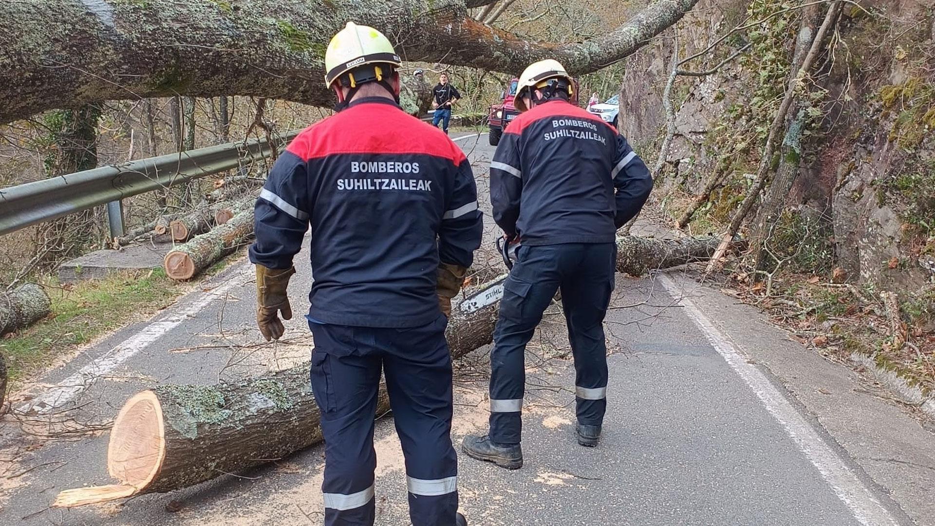 Una de las actuaciones de los bomberos este fin de semana debido al viento. En este caso, por ramas obstaculizando la circulación
