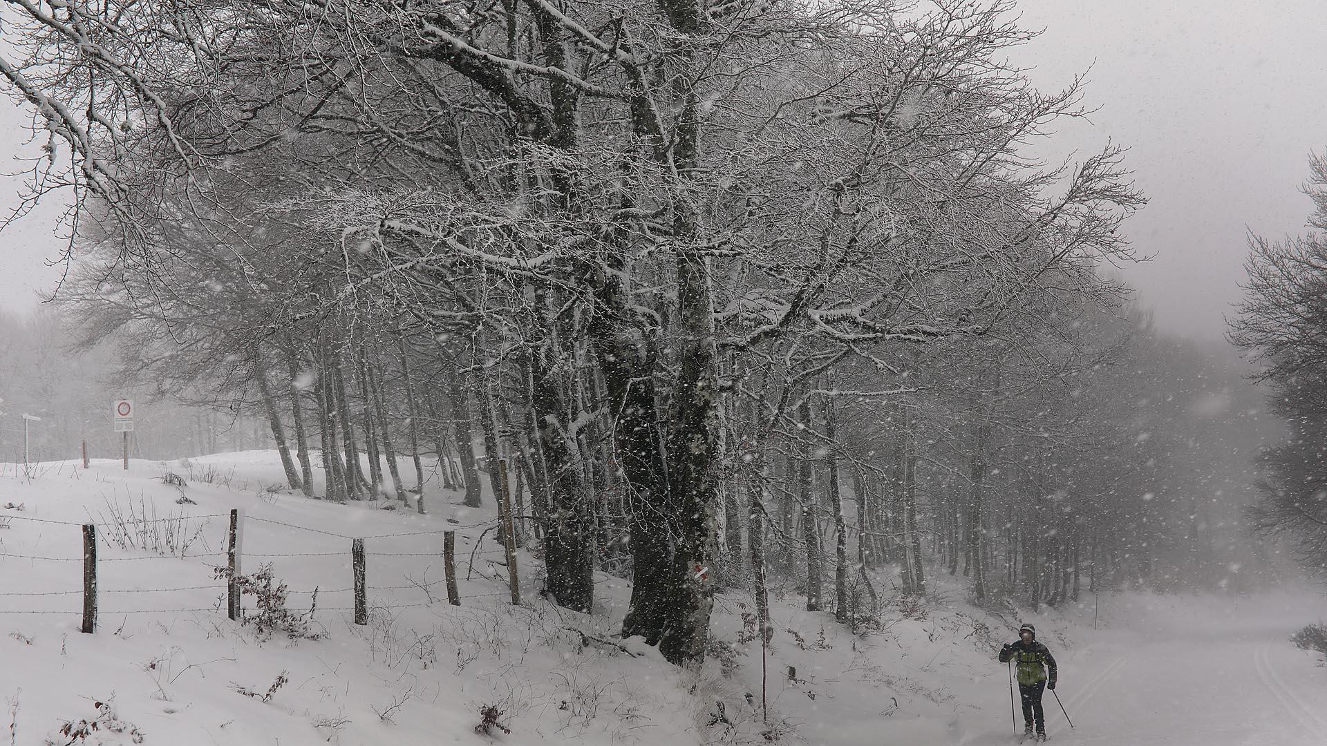 Fotos de la nieve en el Pirineo Navarro
