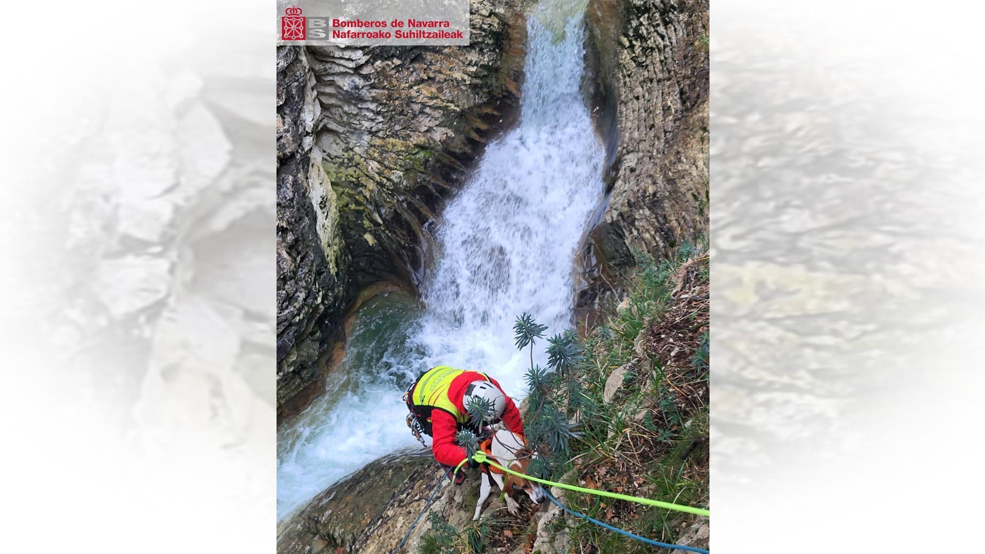 El perro ha sido rescatado el barranco con éxito